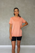 Load image into Gallery viewer, Embrace All s/s Tee in Burnt Coral
